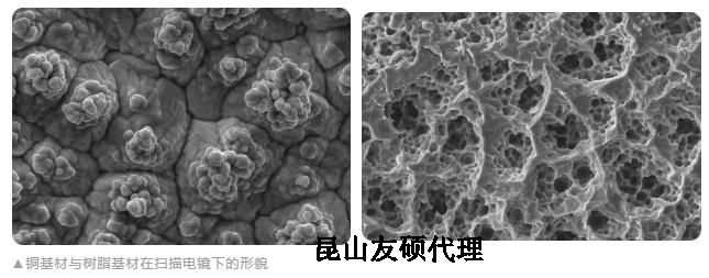 黄石蔡司黄石扫描电镜